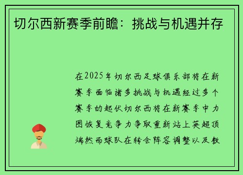 切尔西新赛季前瞻：挑战与机遇并存